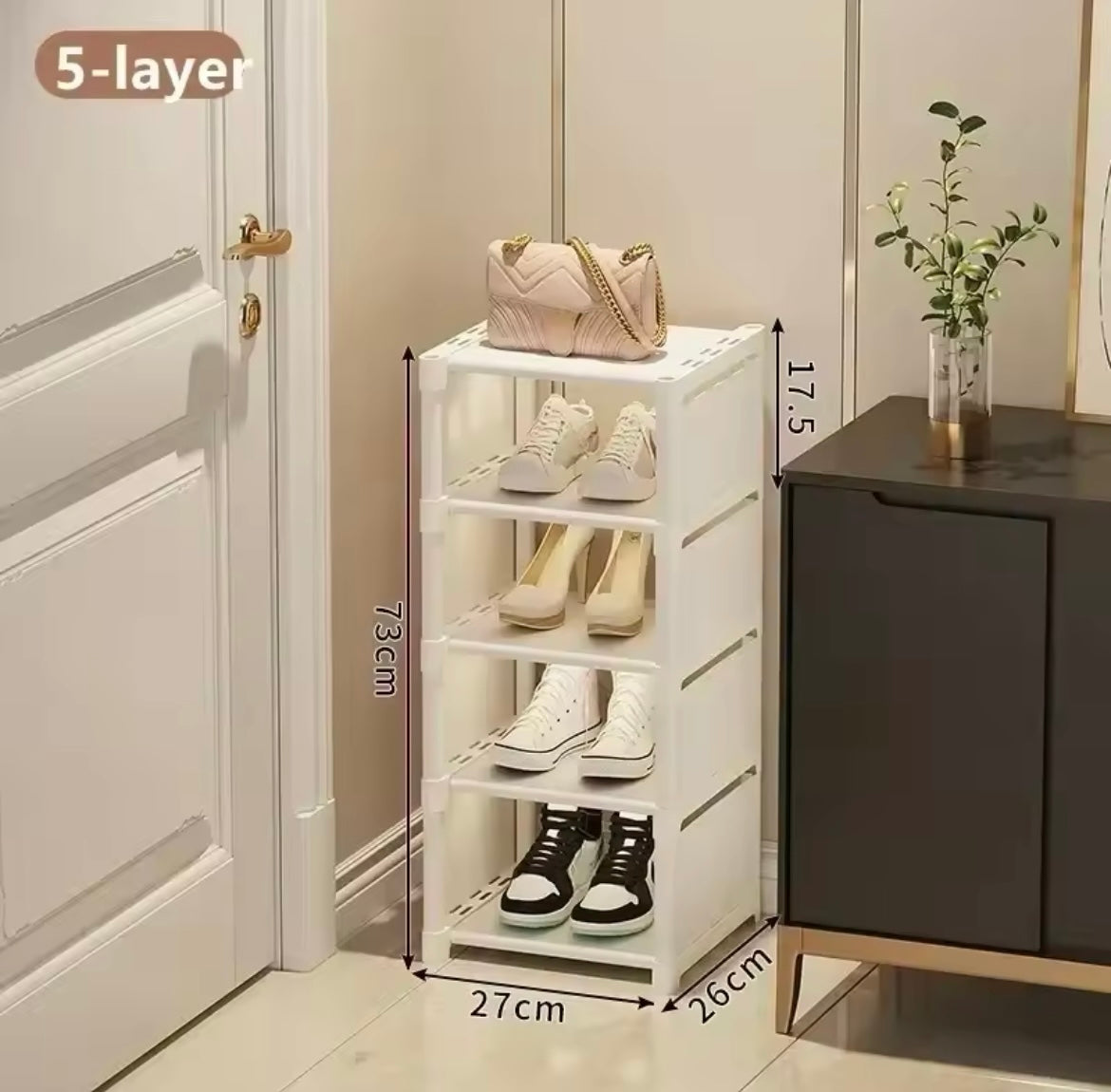 Sneaker Storage Cabinet